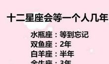 梦幻十二星（第五回）_550字