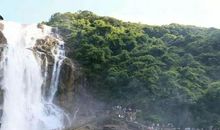 崖崩路绝猿鸟去，惟有乔木搀天长。