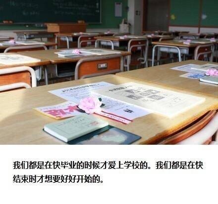 致敬我的高中同学_800字