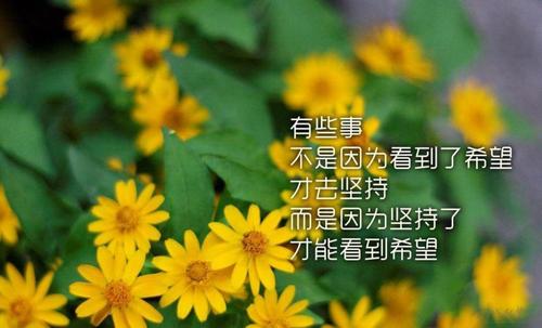生活路选择锻造意义限制_800字