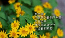 人生路的选择锻铸意志极限_800字