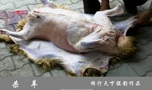 人类的罪恶_650字