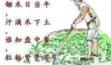 小学生必背古诗词鉴赏——悯农（锄禾日当午）