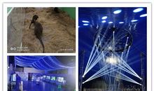 [PK赛]关于诚信的作文：诚信对话时代_550字