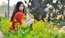 三色堇最美的暖冬（七）_1000字