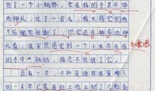 [四年级叙事]快乐的事_500字