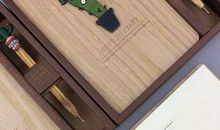 高一日记：神奇的小仙人掌_1200字