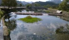 家乡的河！你在哪儿？_300字