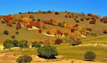 冬天，让我陶醉_500字