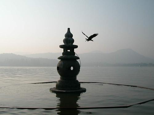 美丽的三尖打印月_400字