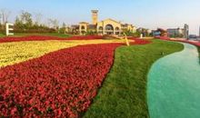 梦游四季园_600字