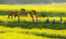 漫步在田野里_450字