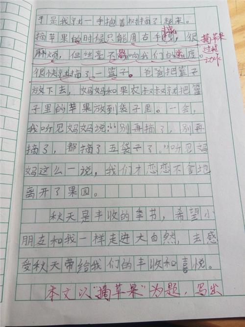 爱在记忆中（2）_400字