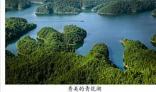美丽的青龙湖_550字