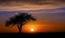 夕阳西下，落日黄昏_600字