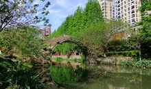 美丽的上塘河__650字