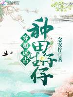 前传_150字