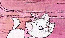 我和猫小姐 第二章_800字