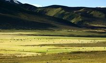 聆听美丽的声音_750字