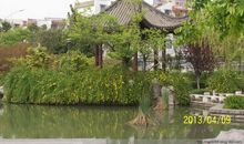 沿江公园春游记_650字