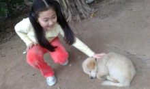 我爱小狗波比_550字