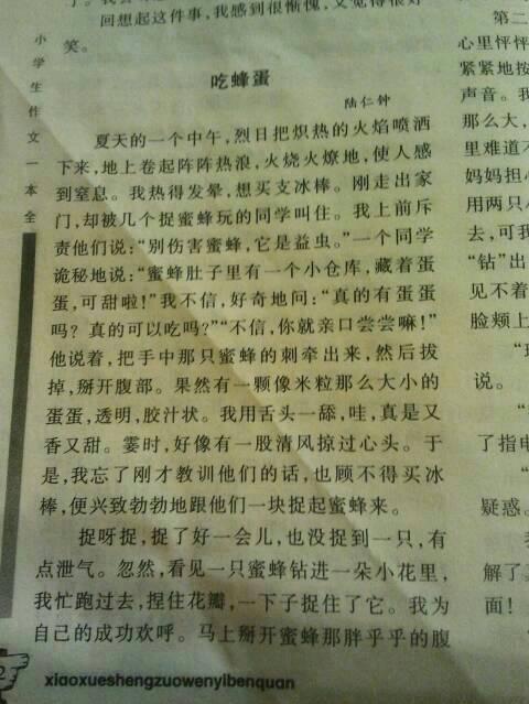 动物建造新房_800字