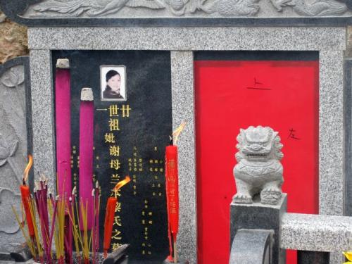 太阳岳父和兰德莫托比这_300字更好