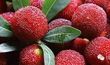 狐狸肉被乌鸦骗走后续写_350字