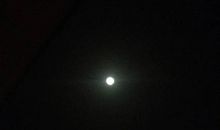 月光下那抹背影_800字