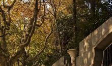 梦幻咖啡屋_550字