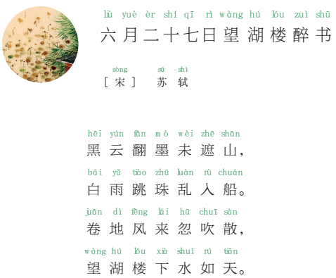 小学生必须用作古代诗歌升值 -  6月27日王湖大厦醉酒书