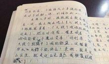 爸爸的手（第三章）_400字