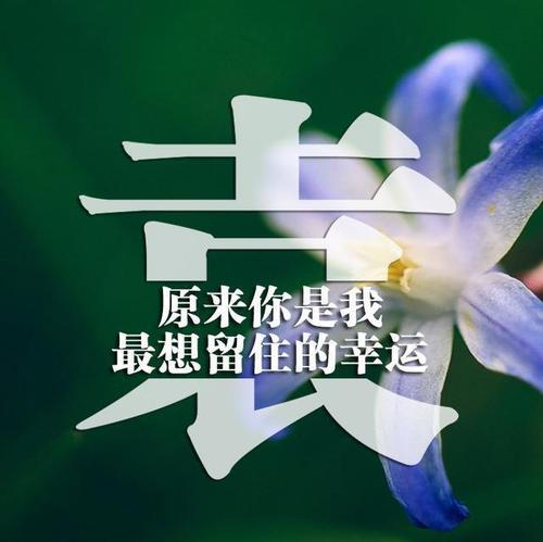 祝流星（第8章）_1500字