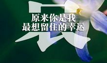 对着流星许下星愿（第八章）_1500字