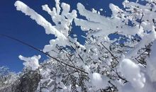 月雪（五）_1000字