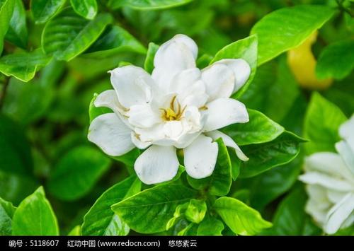 六年级：何济安