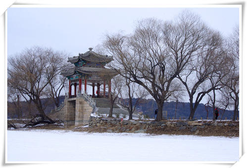 我喜欢冬天，冬天的雪_550字