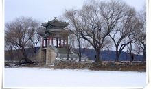 我爱冬，冬之雪_550字