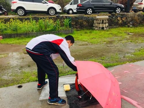 前三个叙事成分：春天下雨_600字