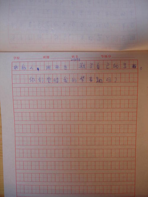 有趣的梦想_200字