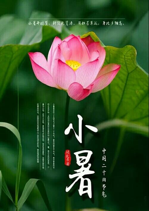 夜晚的冷风_1000字