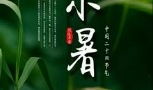 微夜的一丝凉风_1000字