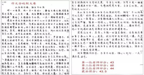 2000年全国学院入学考试优秀成分：一朵花和一个世界_1000字