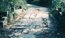 宣和旧日，临安南渡，芳景犹自如故。