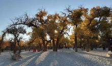 三千年的等待_150字