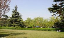 帐底吹笙香吐麝，更无一点尘随马。