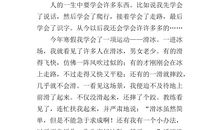 我学会滑冰了_700字