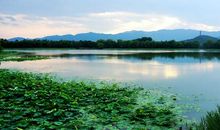 霭芳阴未解，乍天气、过元宵。