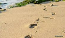 成长路上的脚印_900字