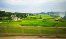 爷爷，你等我等你_2000字